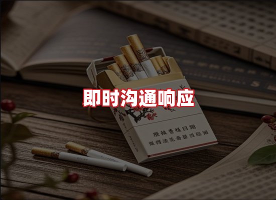 专业团队